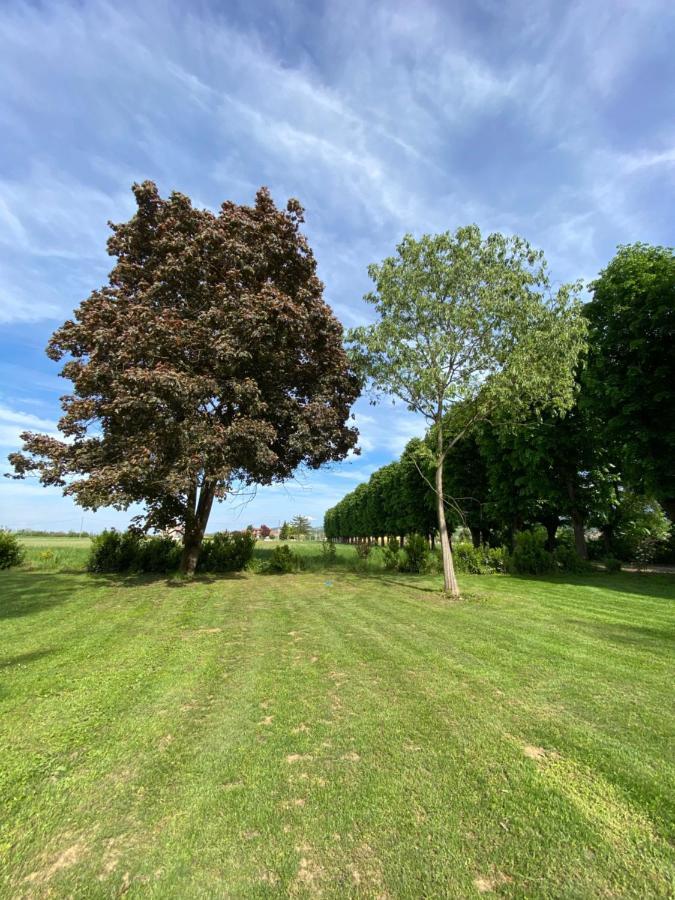 Tenuta Pizzone Rivanazzano Terme Esterno foto