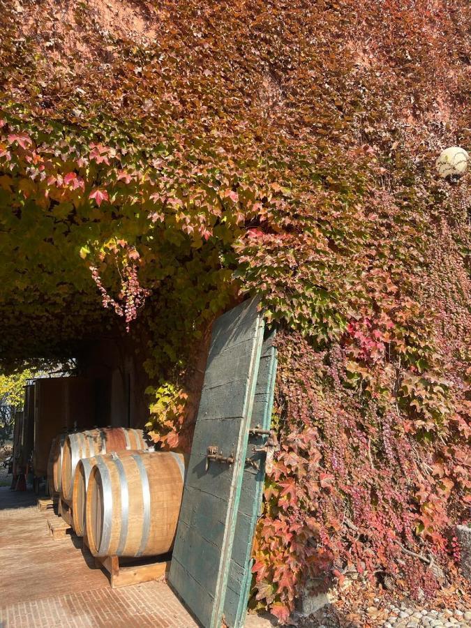 Tenuta Pizzone Rivanazzano Terme Esterno foto